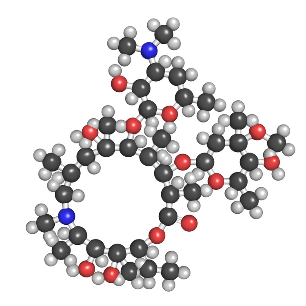 Prolonged Use of Macrolides Improved NonCF Bronchiectasis