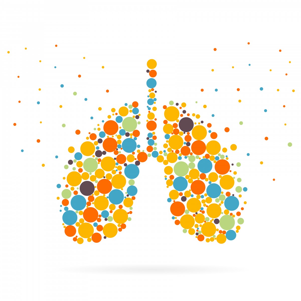 Exacerbations in Non-cystic Fibrosis Bronchiectasis Explored in Observational Cohort Study