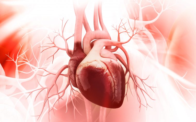 Bronchiectasis linked to cardiovascular disease