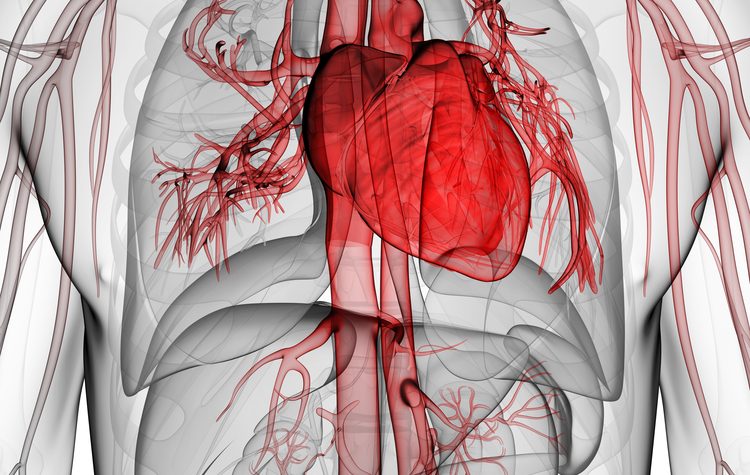 bronchiectasis and cardiovascular disease
