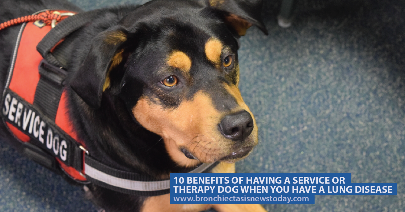 having a therapy dog