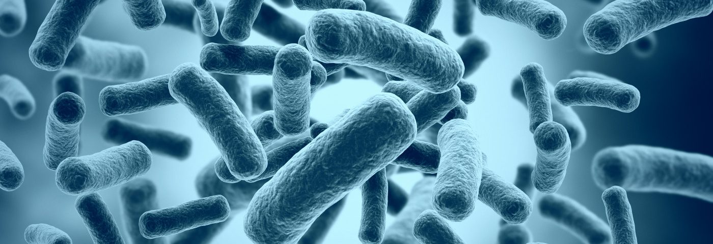 Lung Bacteria Composition Tends to Remains Stable, May Correlate with Lung Function in nCFB, Study Says