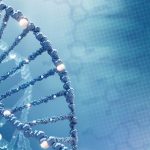 STAT1 gene, new mutation, case report